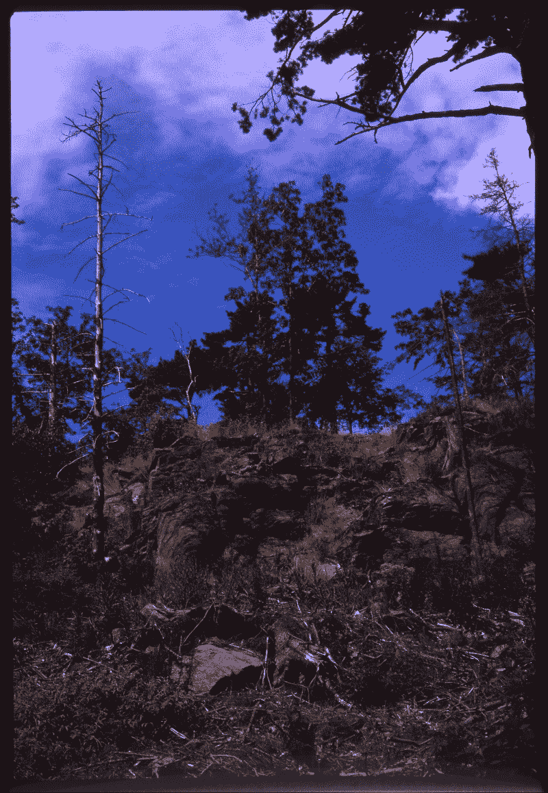 Making subtle color shifts with curves