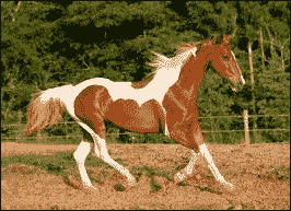 Why do we care about keypoints?